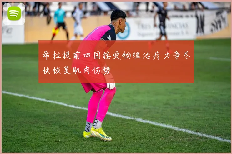 希拉提前回国接受物理治疗力争尽快恢复肌肉伤势